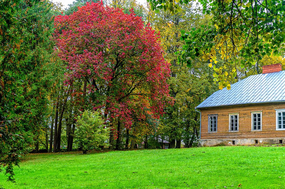 Photograph by Леонид Соболев