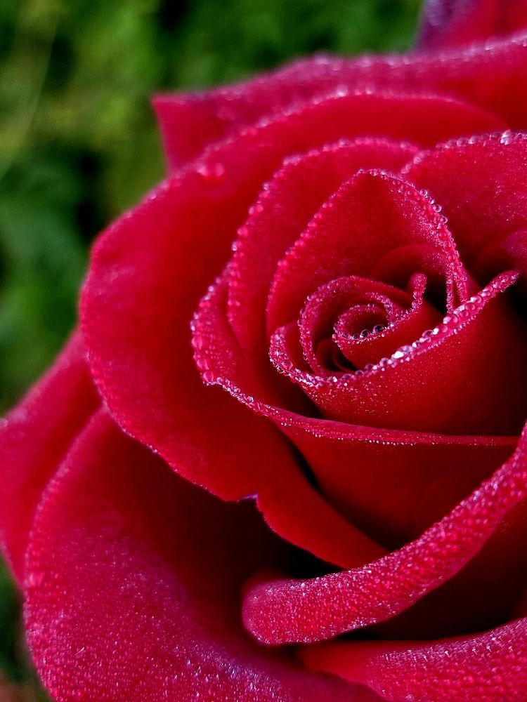 Photograph by Татьяна Емельянова