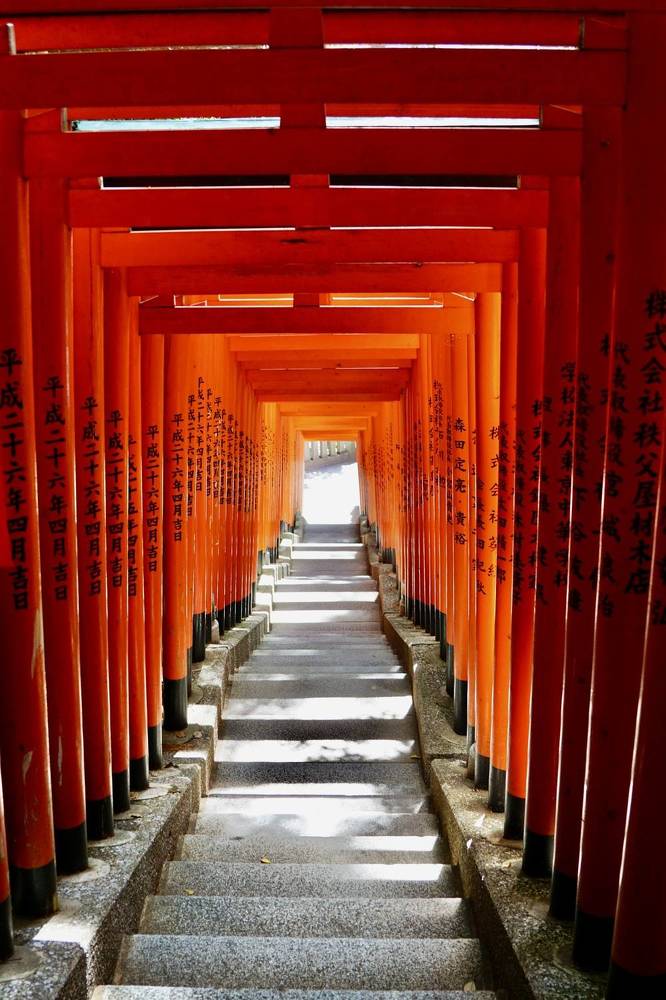 Фотография автора Liudmila Kiermeier