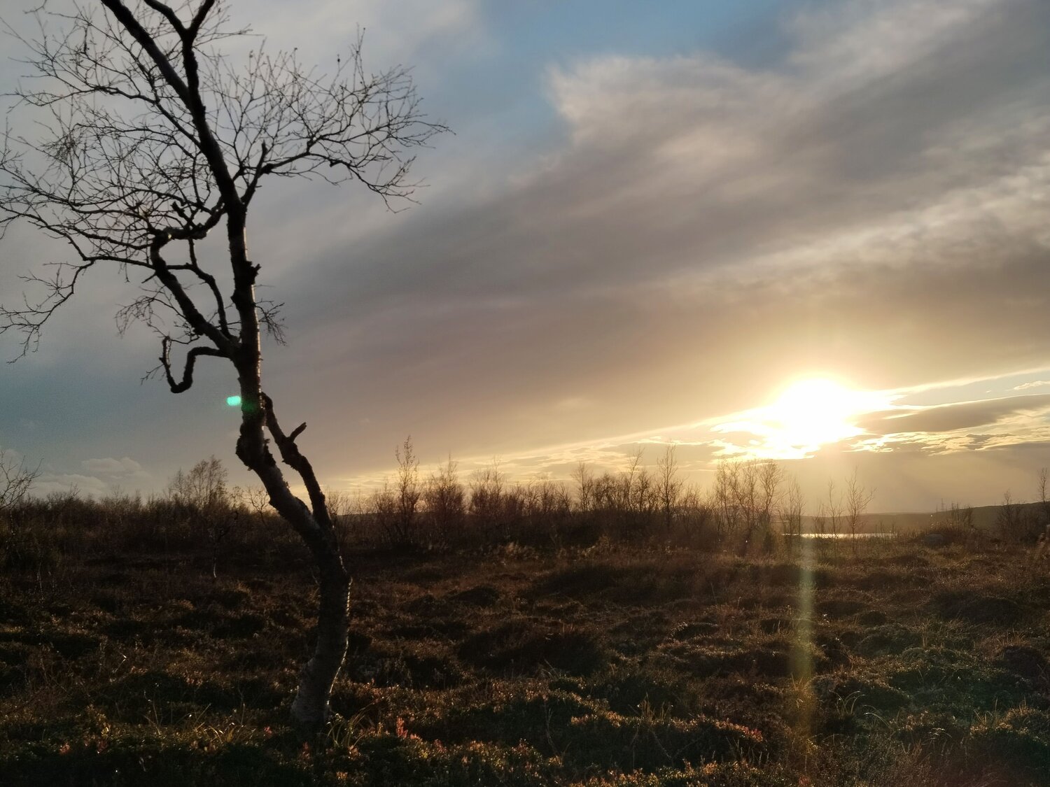 Photo #11174837