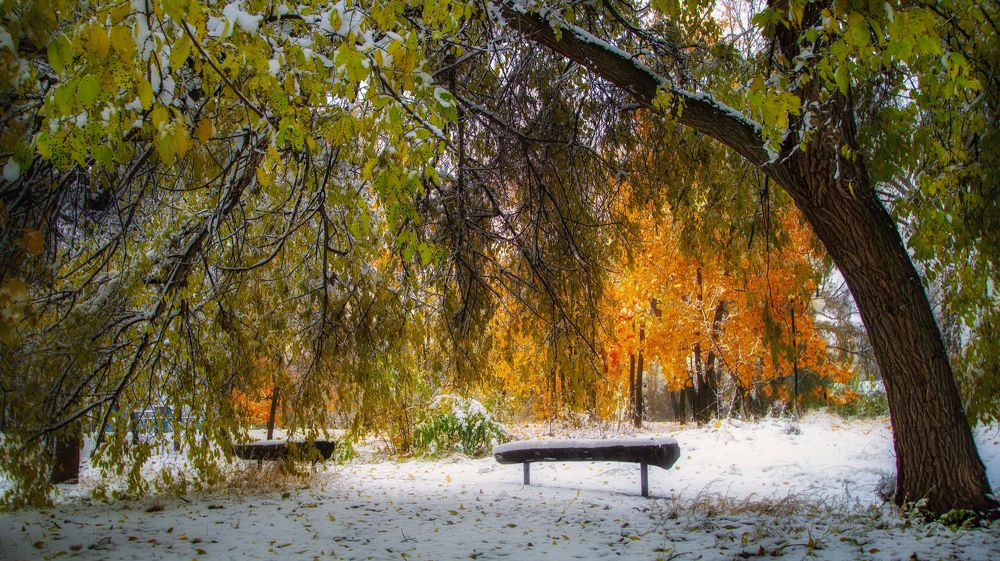 Photograph by Андрей Семенченко