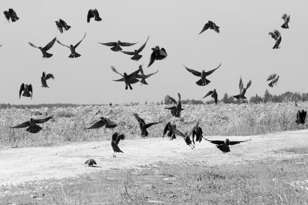 Photograph by Руслан