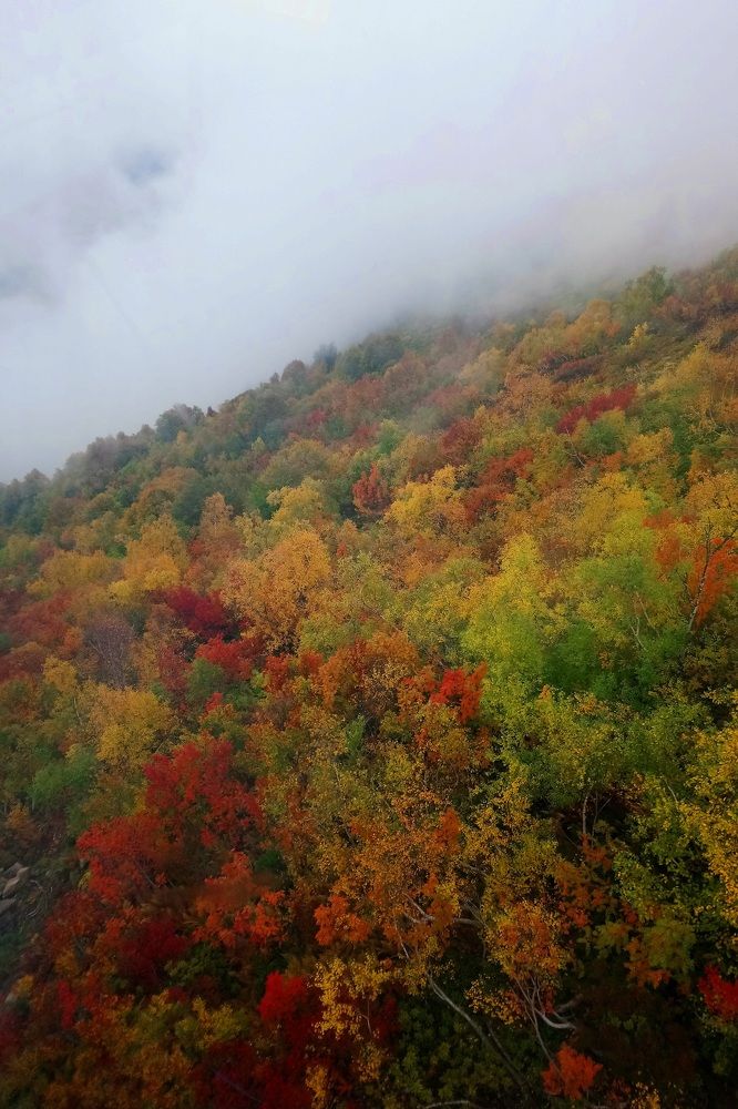 Photograph by Анастасия Свиридова