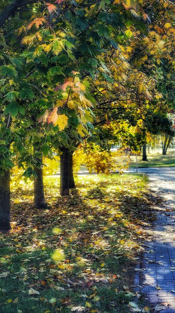 Photograph by Александра Кропивка