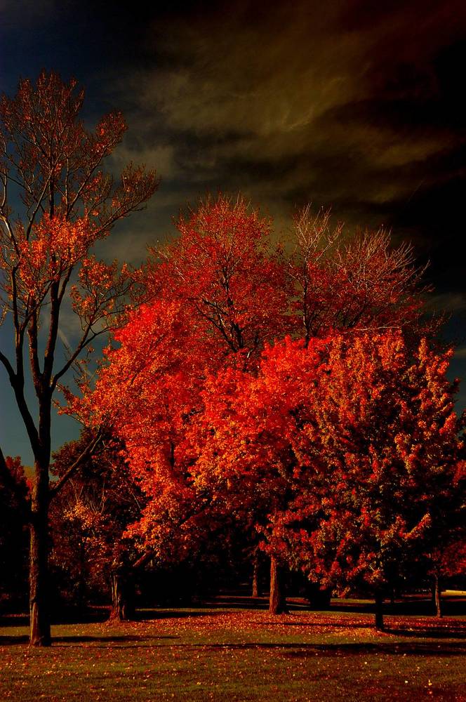 Photograph by Eric Galton