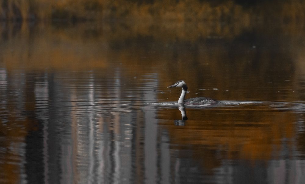 Photograph by Людмила Подольская