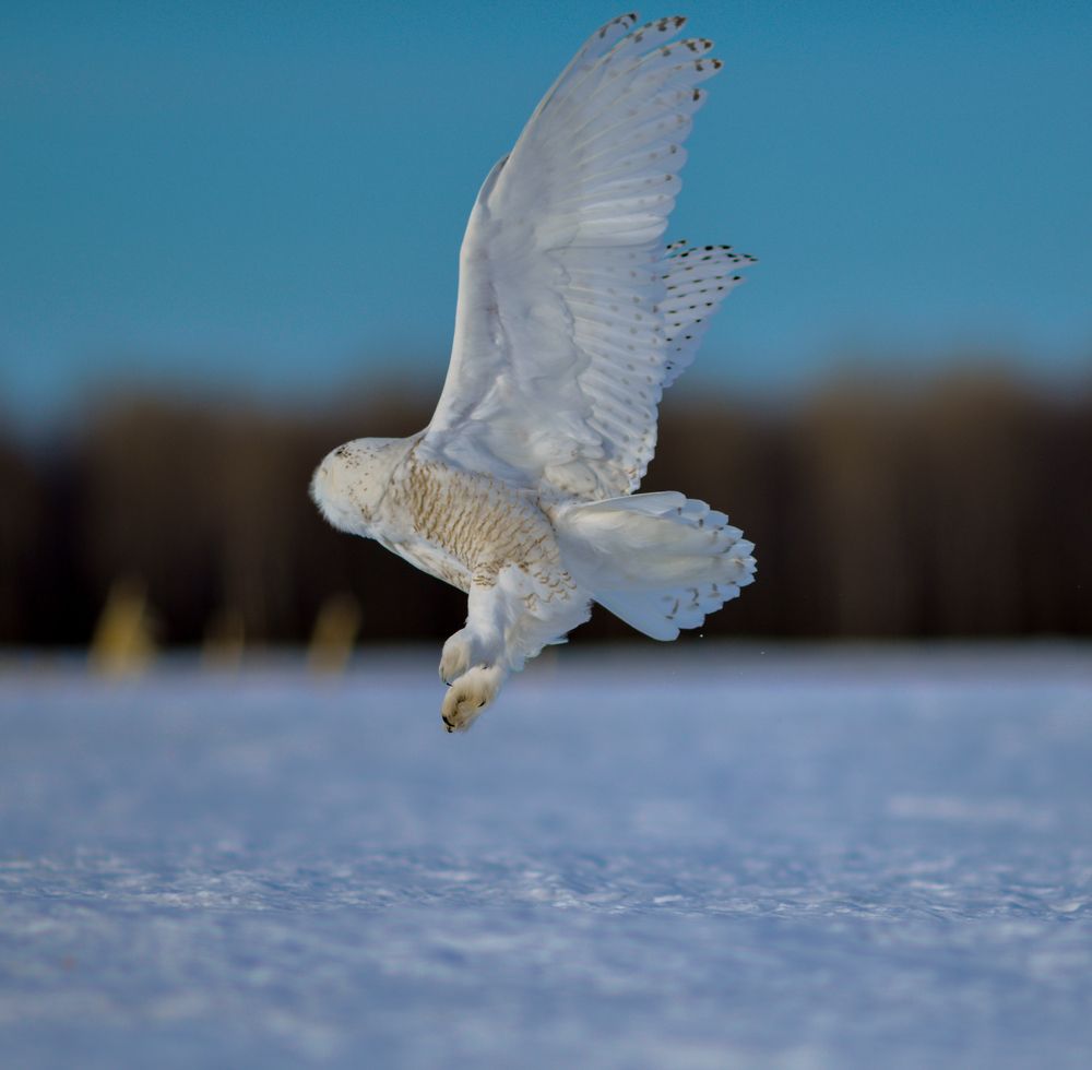 Photograph by Eric Galton