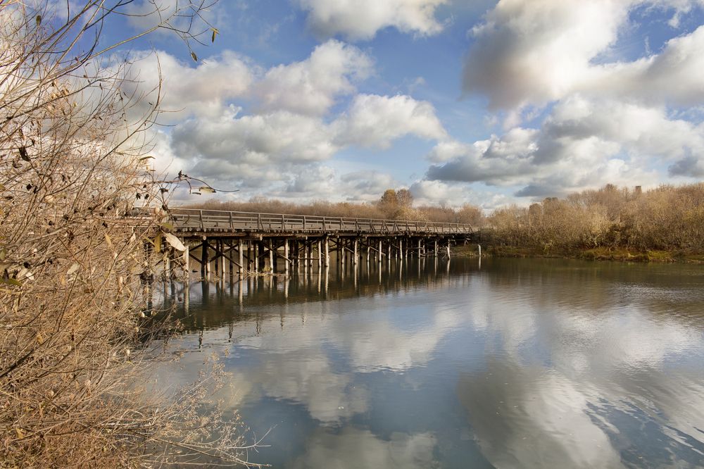 Photograph by Ирина Анцыгина