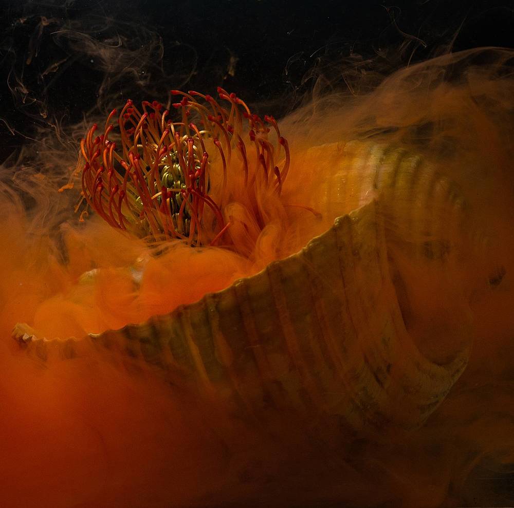 Photograph by Касьянова Ольга