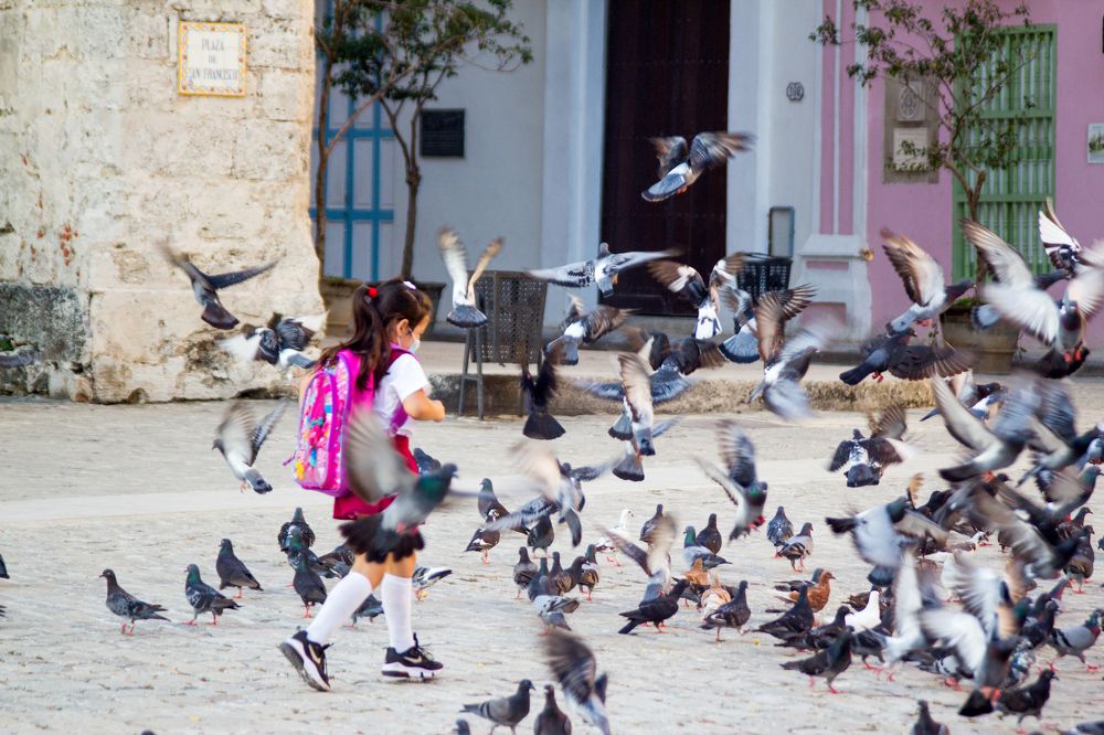 Photograph by Evelyn Carnot Montes