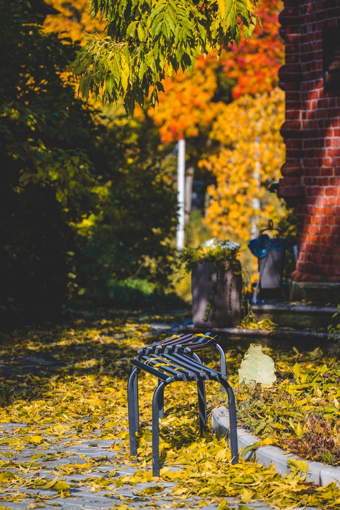 Photograph by Сергей Зимин