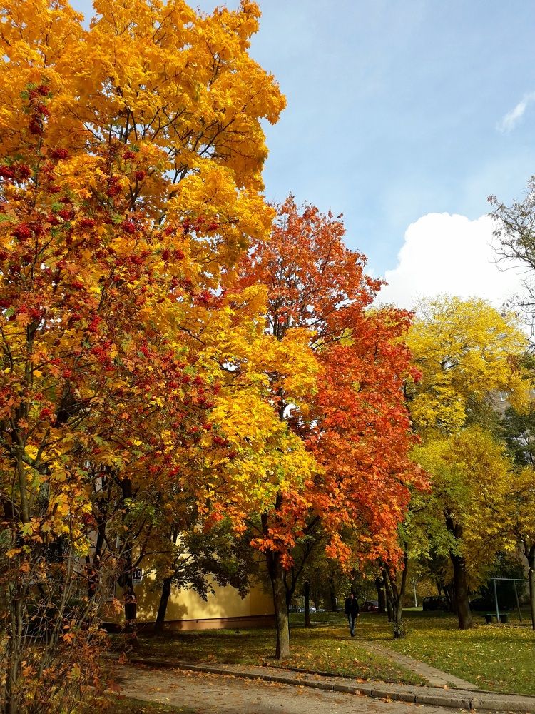 Photograph by Татьяна Солтан