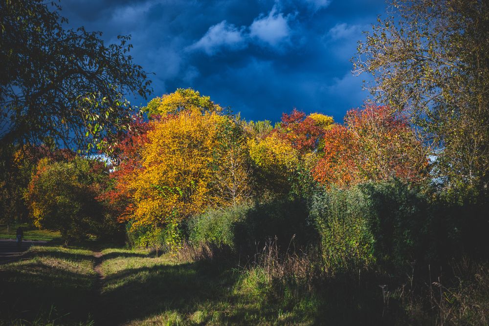 Photograph by Сергей Зимин