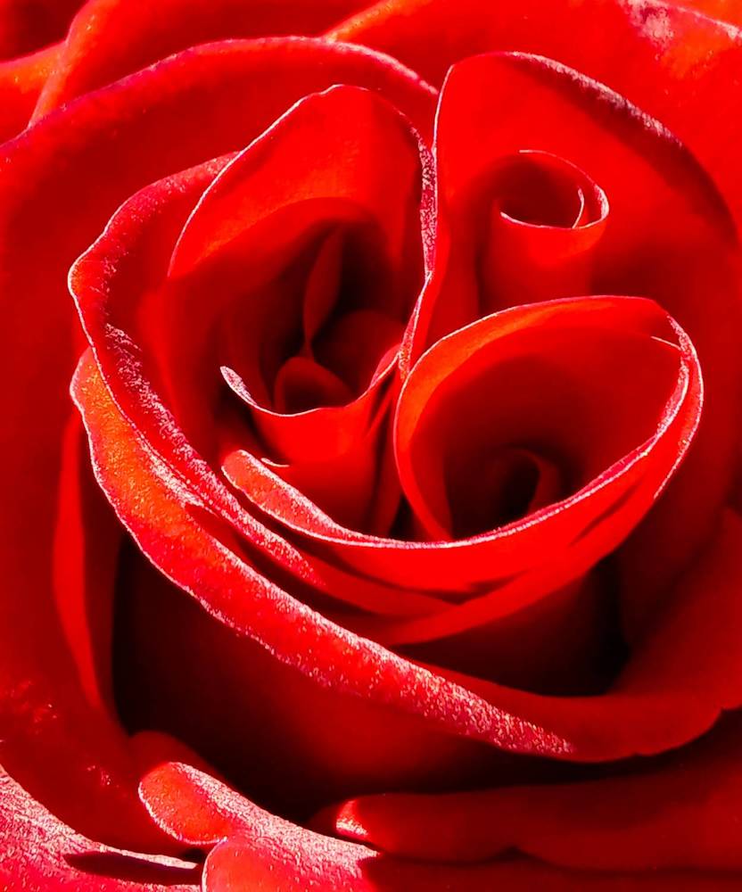 Photograph by Ирина Архипова