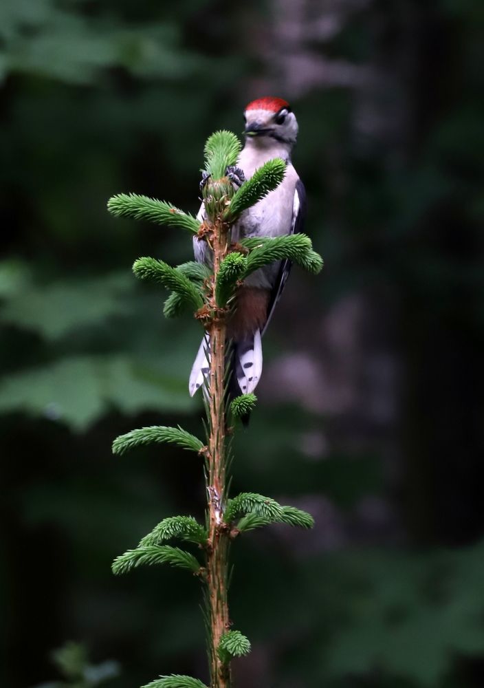 Photograph by елена