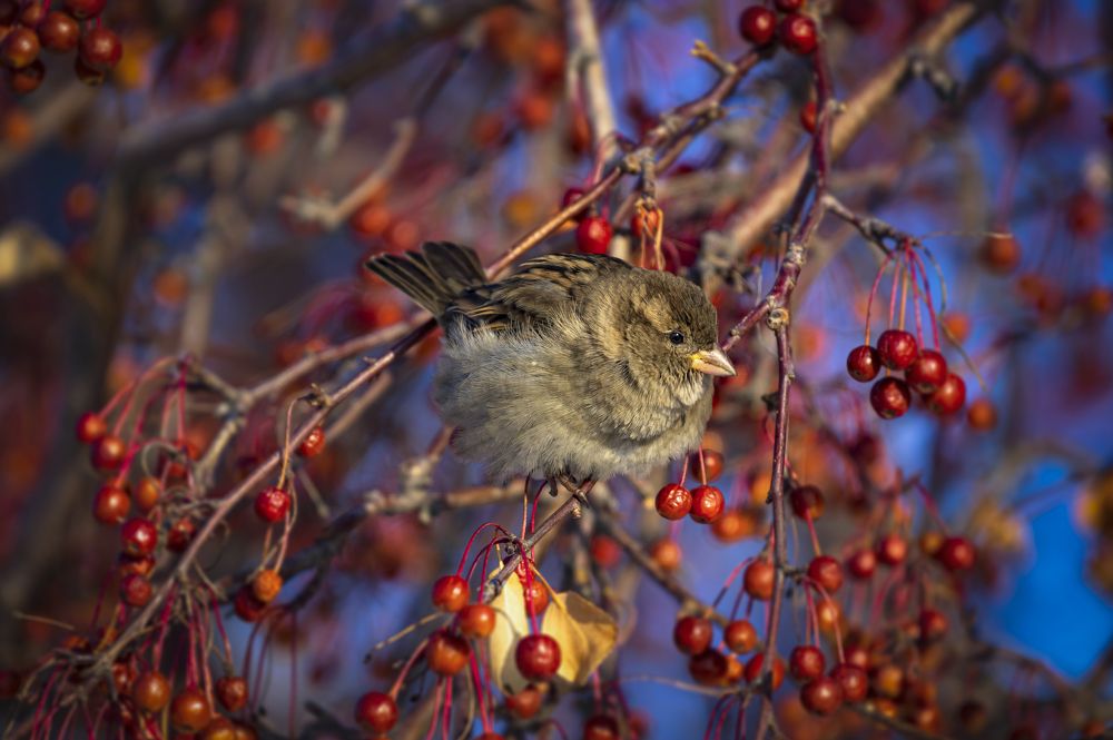 Photograph by Алексей Мякота
