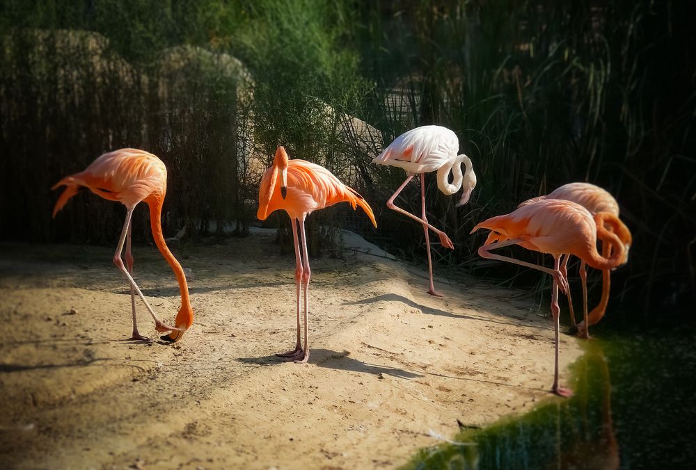 Photograph by Алексей Мякота