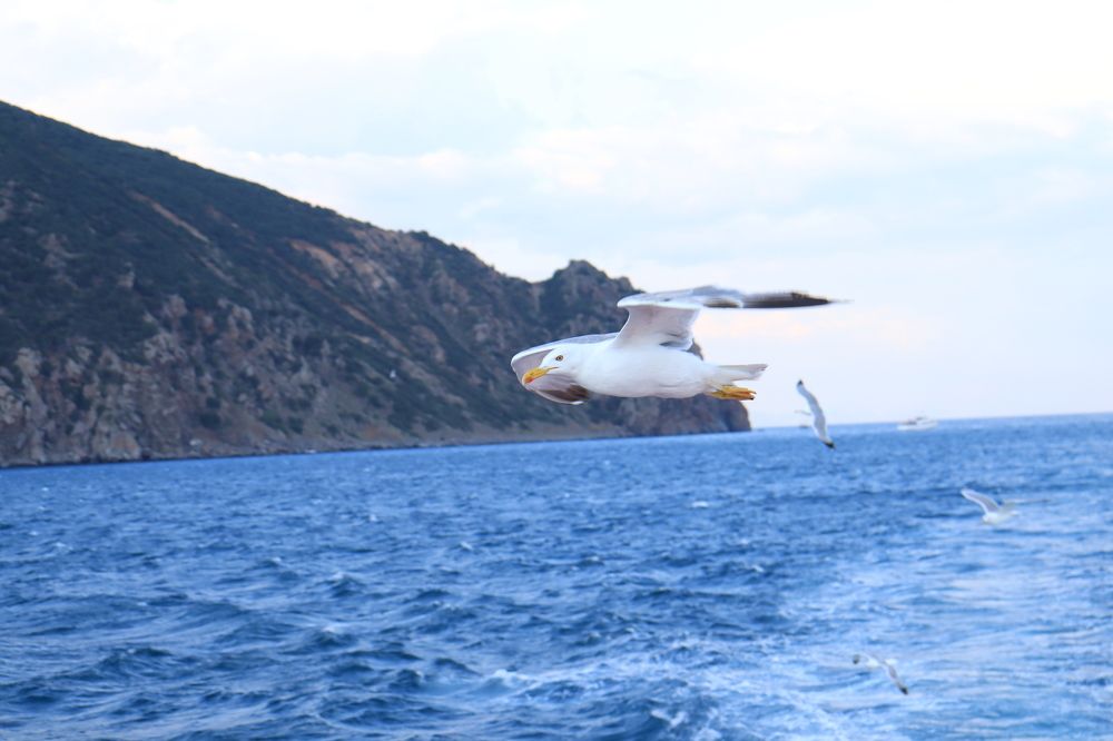 Photograph by Иван Скрипкин