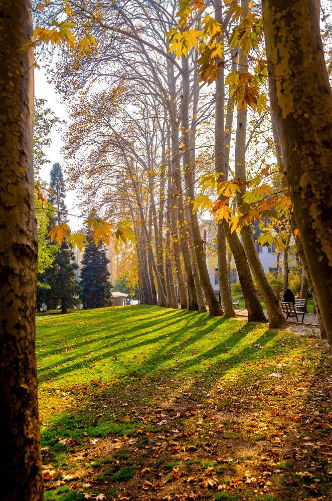 Photograph by Sahar Jafari