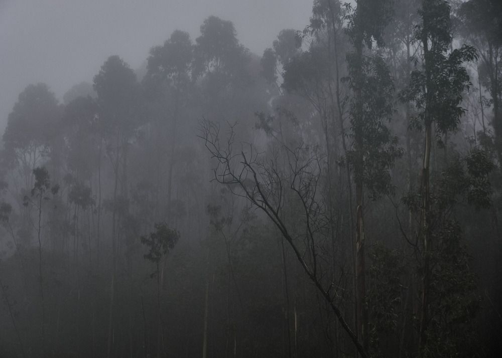 Photograph by Мария Головатских