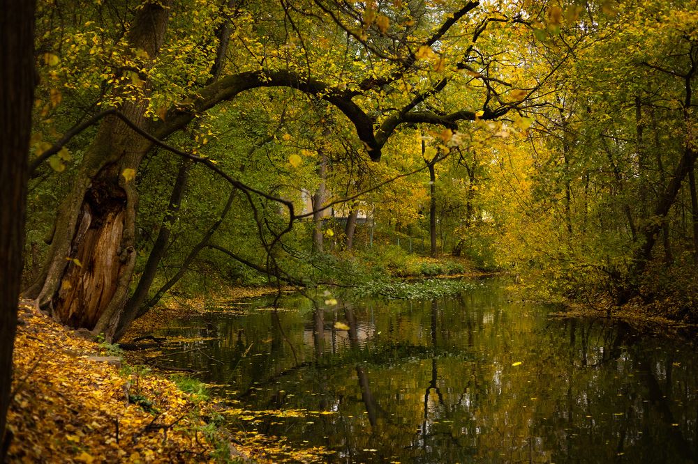 Фотография автора Татьяна Лазарева