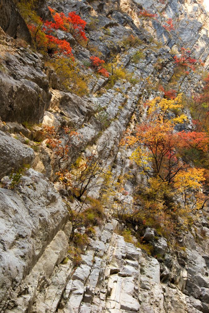 Photograph by KateAkh