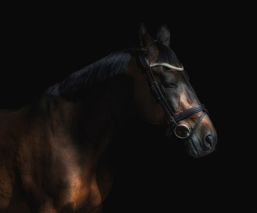 Photograph by Глухарёва Ольга