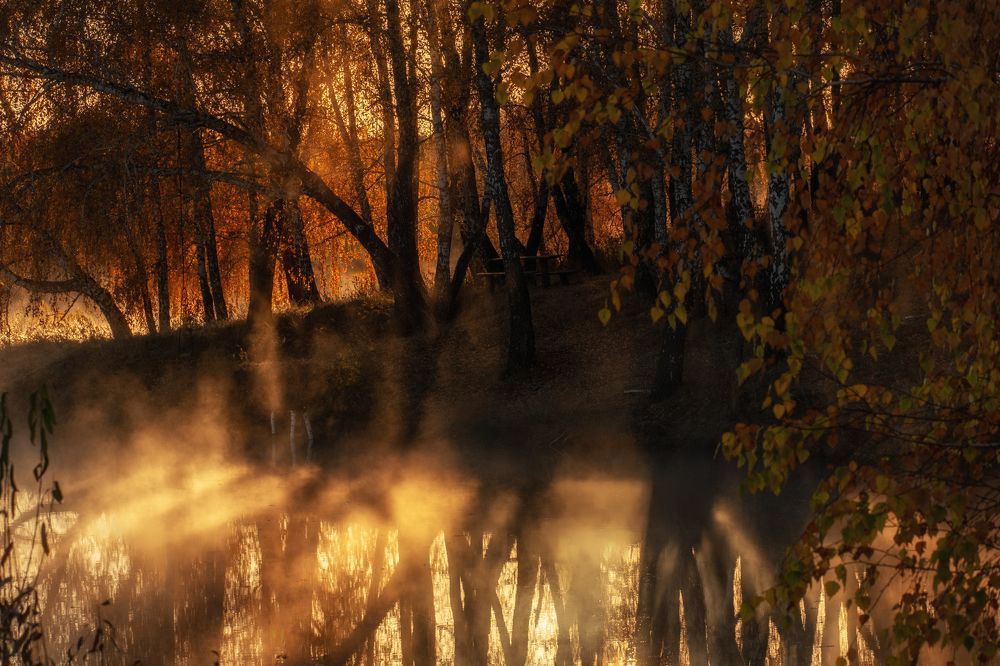 Photograph by Ирина Мошковская