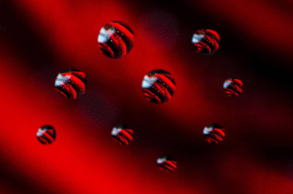 Photograph by Sahar Jafari