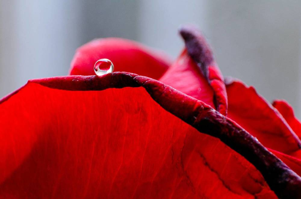 Photograph by Sahar Jafari