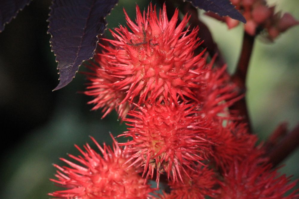 Photograph by Екатерина Александровна