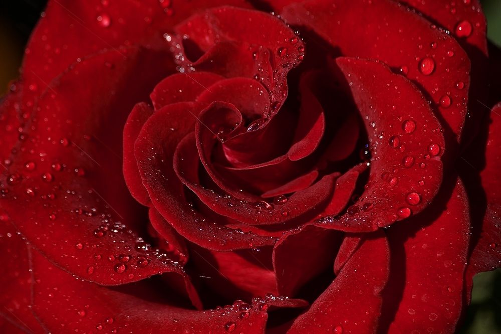 Photograph by Лариса Белашова