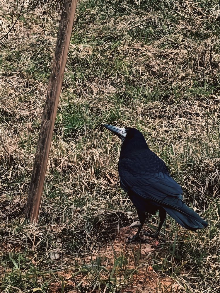 Photograph by Maria Stankevich