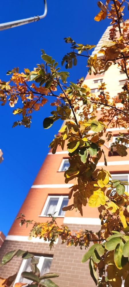 Photograph by Екатерина Александровна