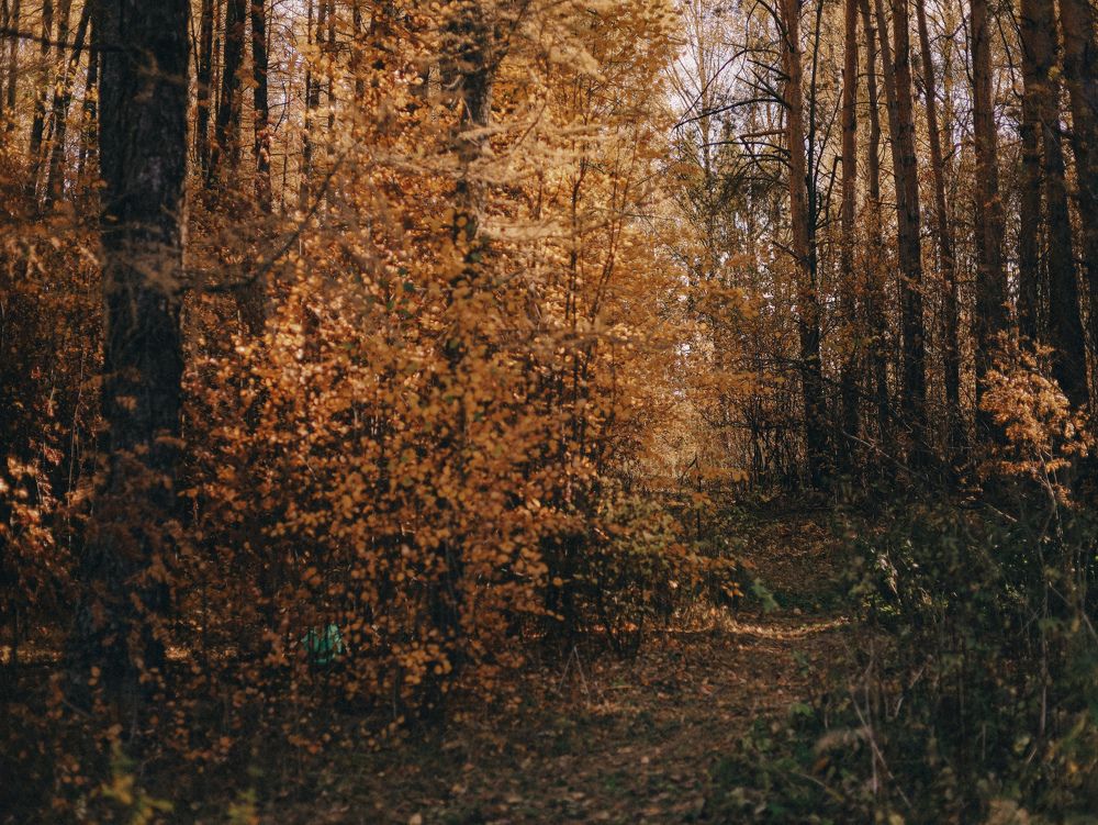 Photograph by Марина Григорьева