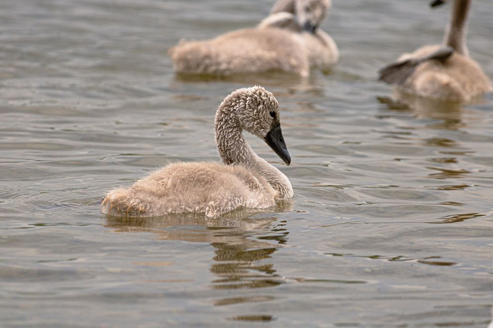 Photograph by Ангелина Высочина