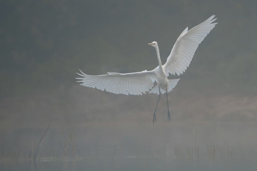 Photograph by Andrew Kuprin