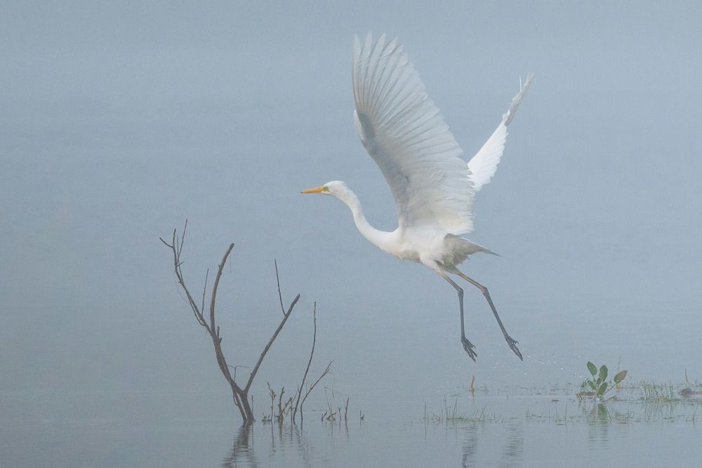 Photograph by Andrew Kuprin