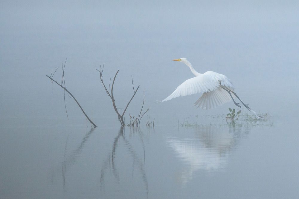 Photograph by Andrew Kuprin