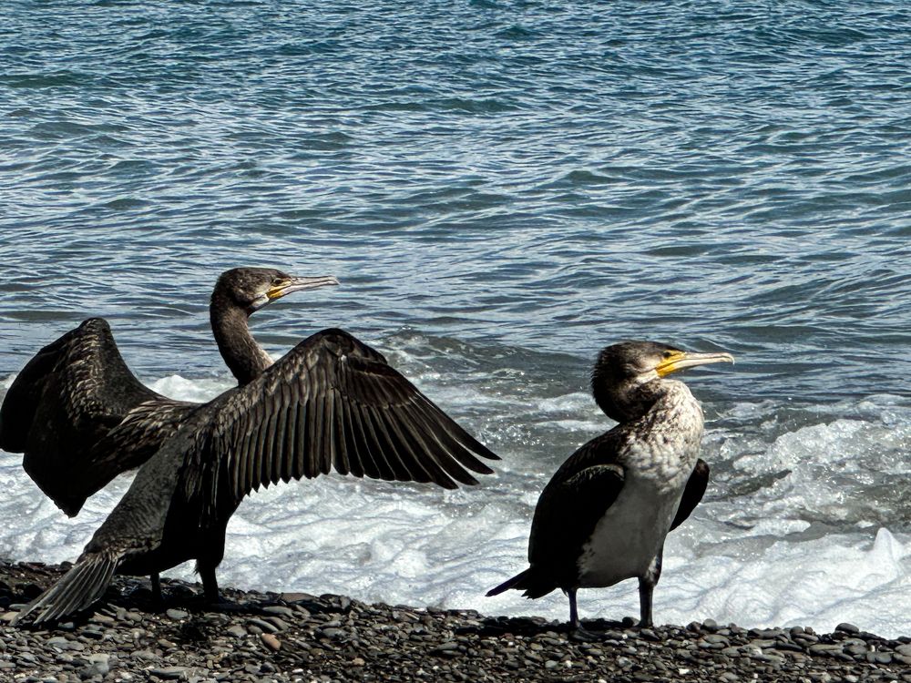 Photograph by Анна Петриенко