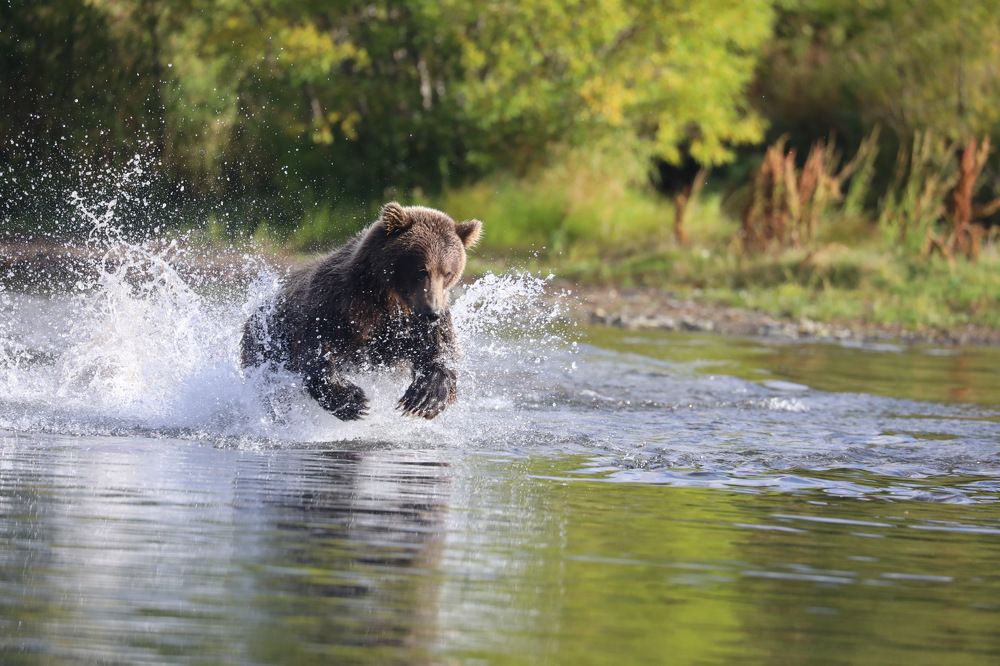 Photograph by Ольга Одаренко