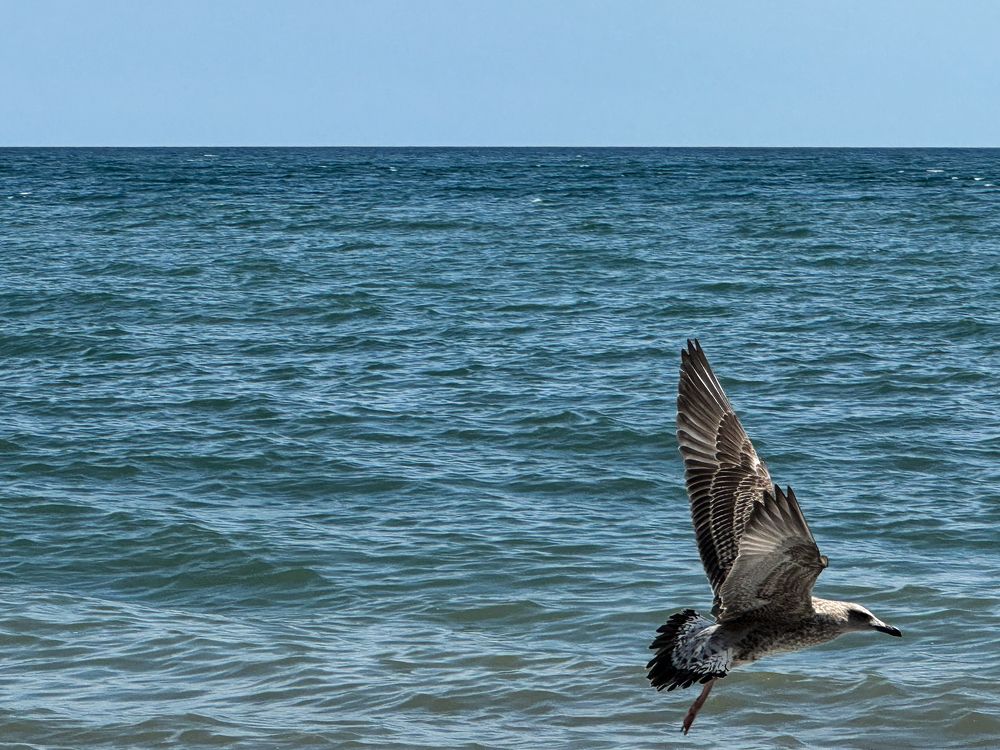 Photograph by Анна Петриенко