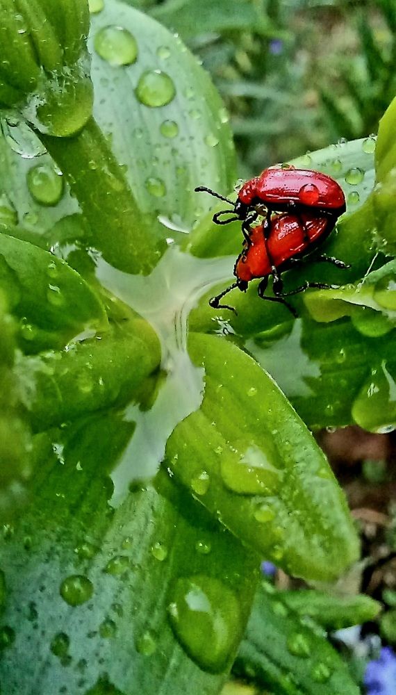 Photograph by Евгений Савулькин
