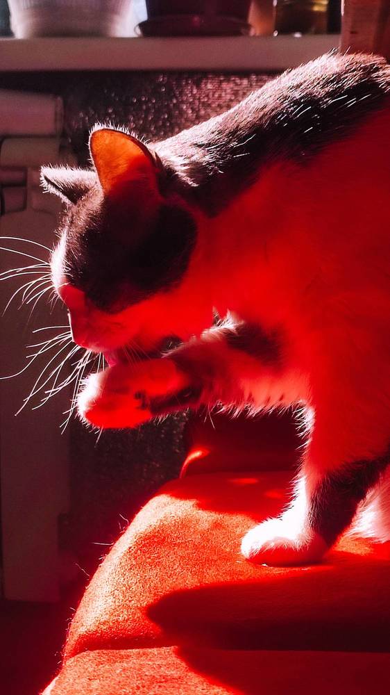 Photograph by Ирина Строкова