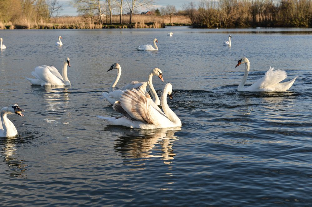 Photograph by Анна Петриенко