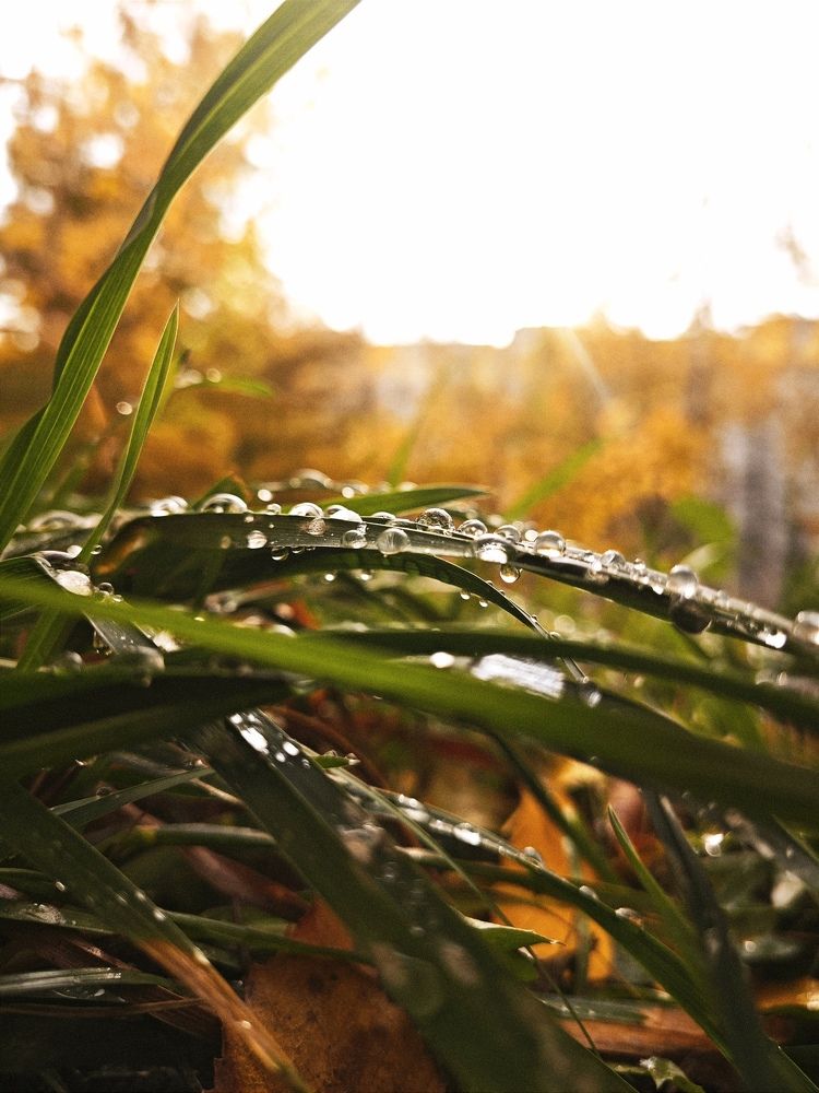 Photograph by Оксана Рогалева