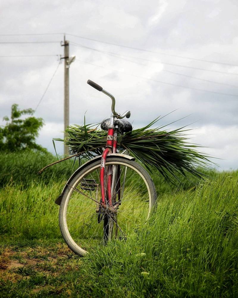 Photograph by Алексей Шевцов