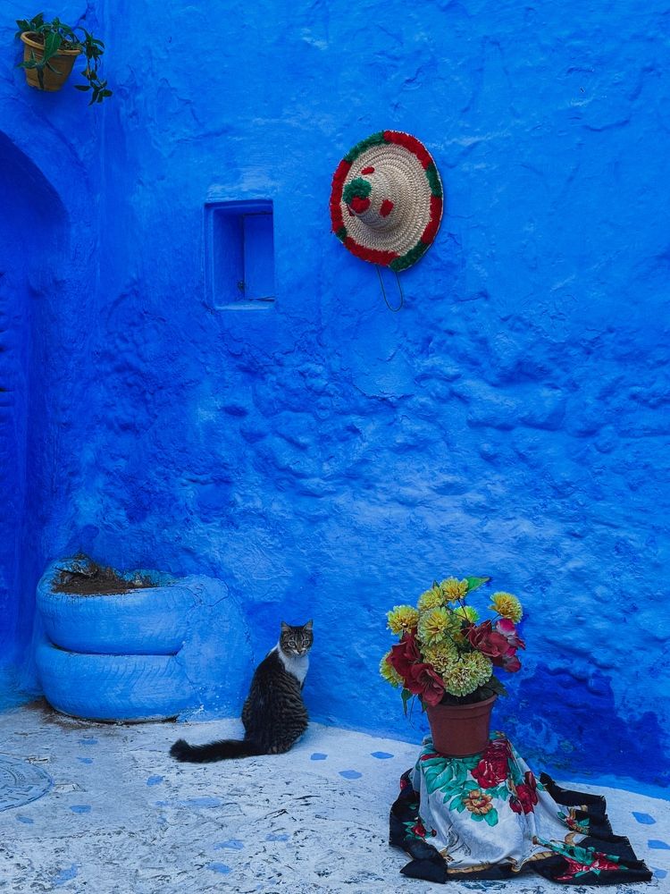 Photograph by Овчинников Илья