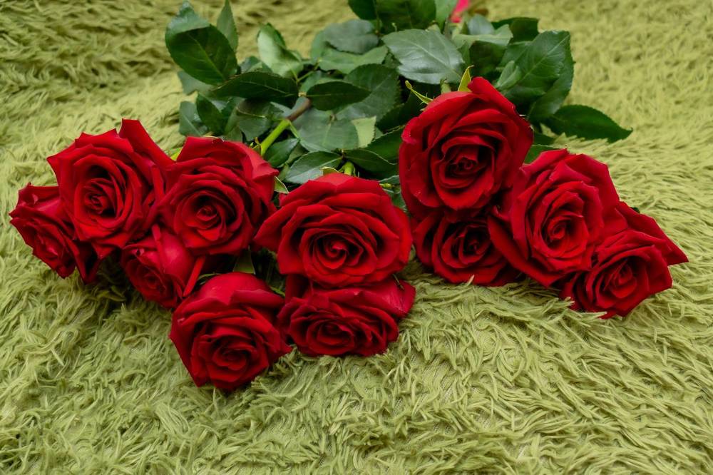 Photograph by Наталья Вялых