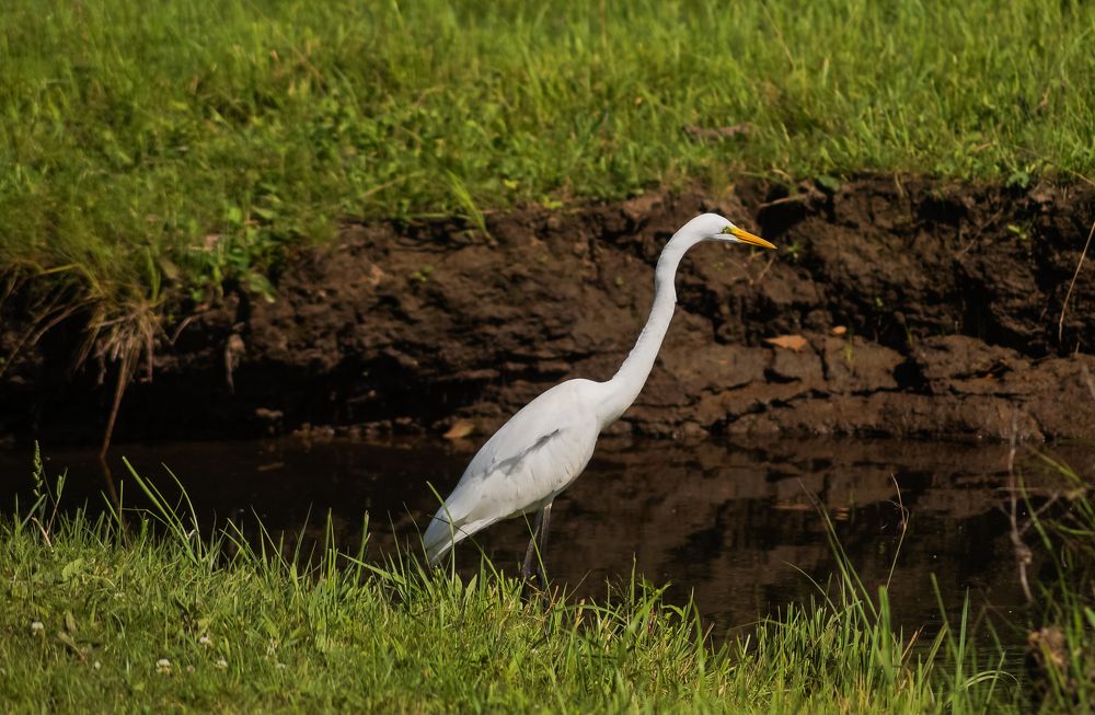 Photograph by Виктор Сёмушкин